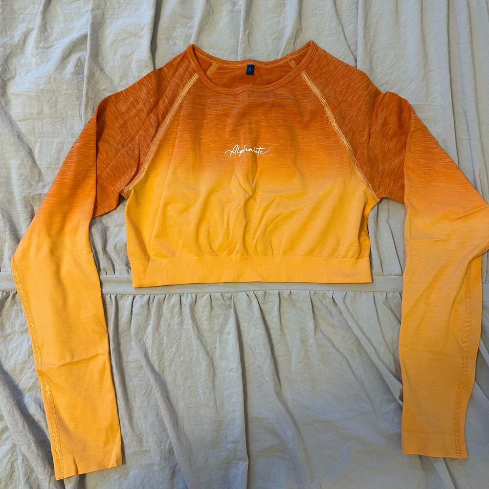 Alphalete Ombre Amplify Long Sleeve Crop Top